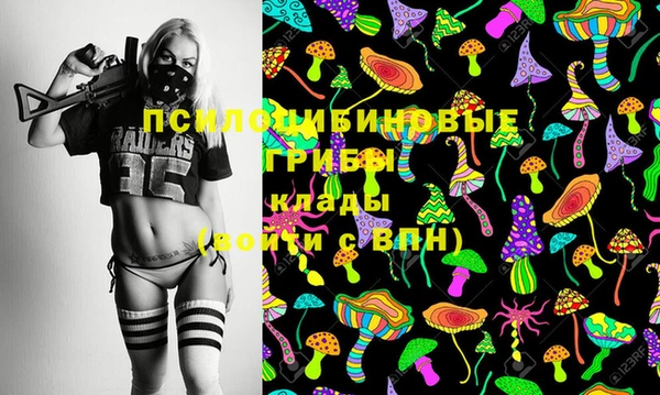 эйфоретик Мегион