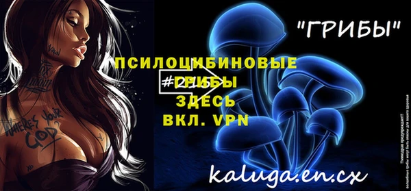 эйфоретик Мегион